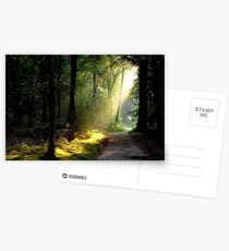 Meeting the morning sun Postcards