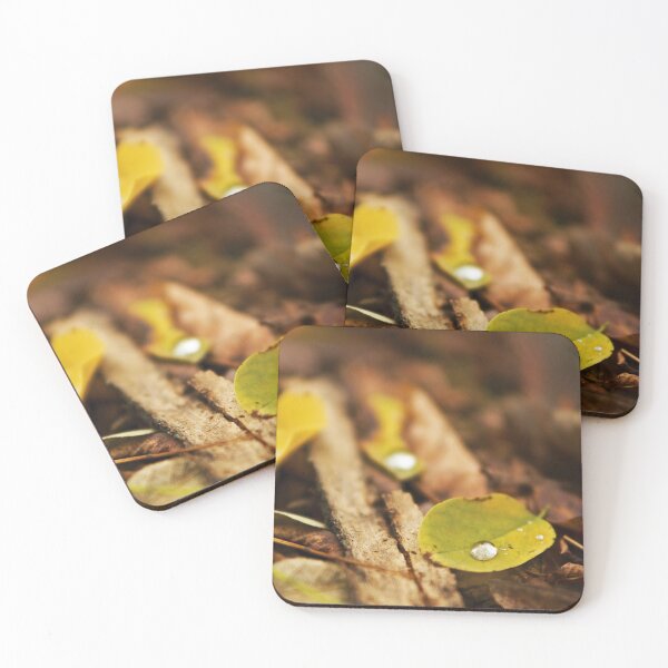 Item preview, Wet autumn designed and sold by Dominika Aniola.