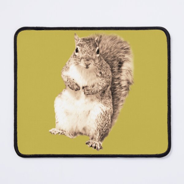 Item preview, Friendly squirrel  designed and sold by Esther  Moliné.
