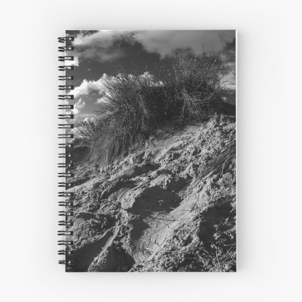 Item preview, dune with sawgrass at Koksijde in black and white designed and sold by FotoMahieu.