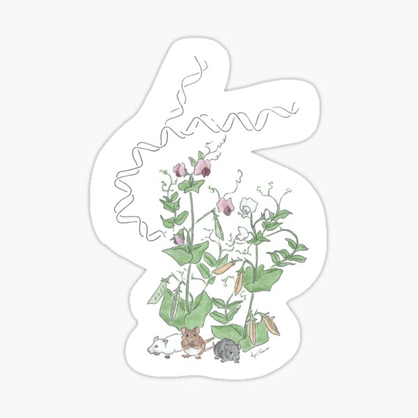 Genetics Design Sticker