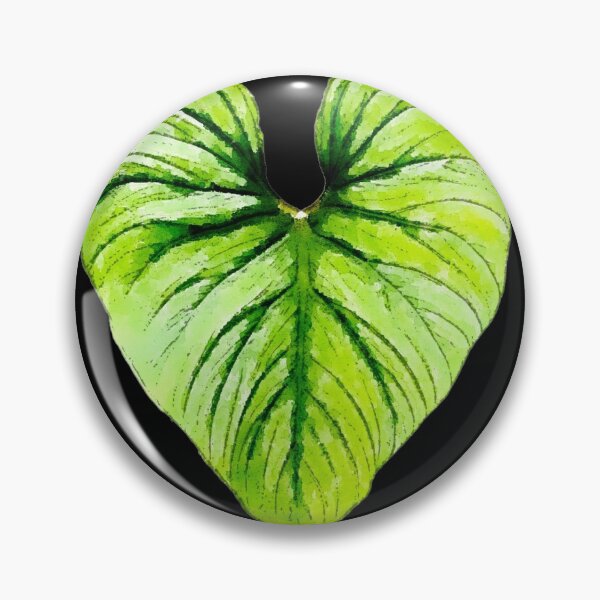 Item preview, Philodendron  designed and sold by Floral-Art.