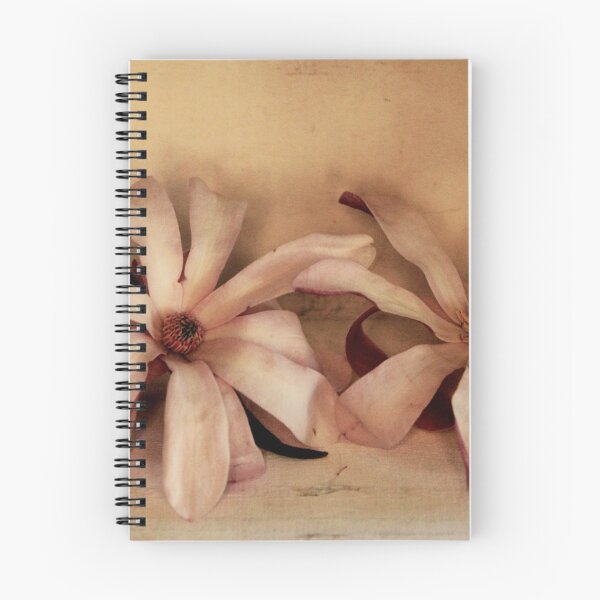 Item preview, Magnolias In A Box - Still Life designed and sold by Evita.