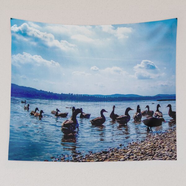 Item preview, Duck lake  designed and sold by marghe41.
