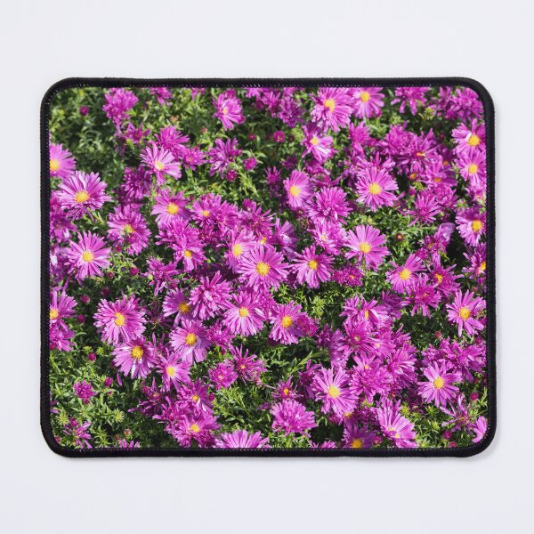 Item preview, Purple Autumn Asters designed and sold by Tanya C  Smith.