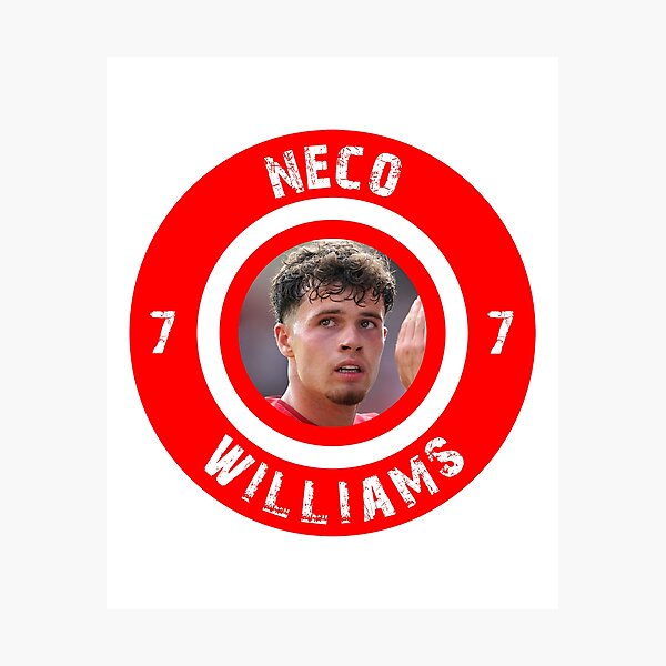 Item preview, Neco Williams designed and sold by Truefans.