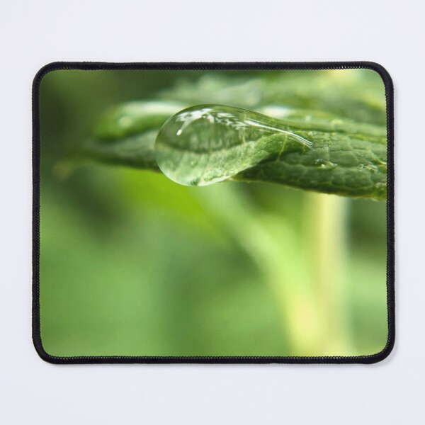 Item preview, Droplet on leaf designed and sold by Rachel Dash-Williams Creative.