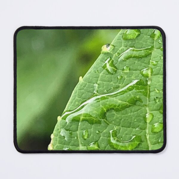Item preview, Droplets on leaf designed and sold by Rachel Dash-Williams Creative.