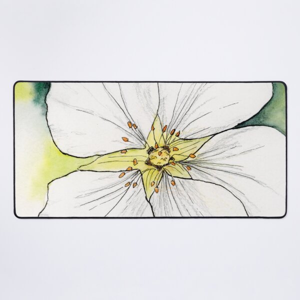 Item preview, Macro de potentilla blanca designed and sold by Rachel Dash-Williams Creative.