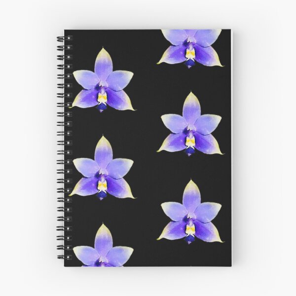Item preview, Phalaenopsis violacea var coerulea designed and sold by Floral-Art.
