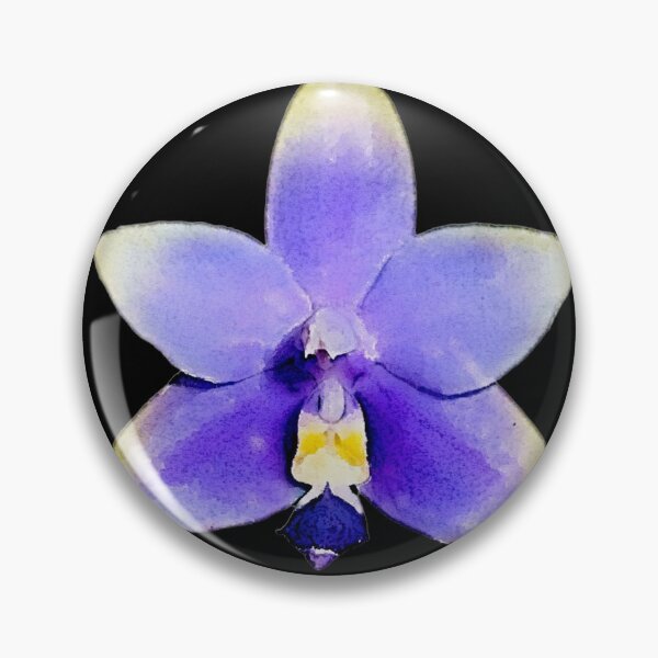 Item preview, Phalaenopsis violacea var coerulea designed and sold by Floral-Art.