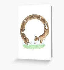 Bull Terrier Loop the Loop Greeting Card