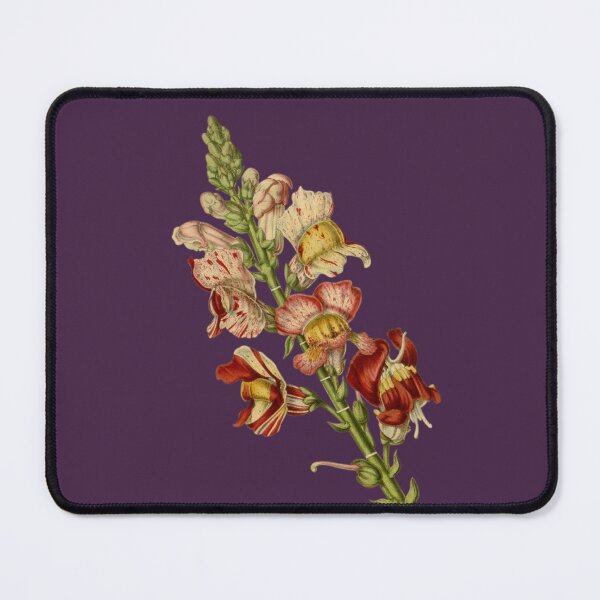 Item preview, Vintage Snapdragons Decorations T-Shirts designed and sold by netdota.
