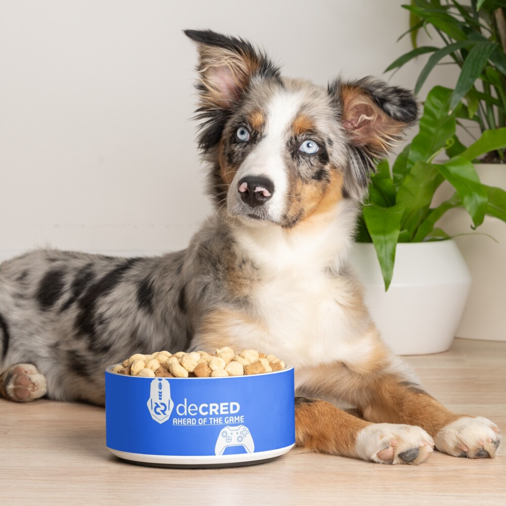 Item preview, Pet Bowl designed and sold by OfficialCryptos.