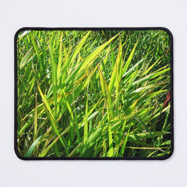 Item preview, Nature meadow landscape | meadow photography designed and sold by lausn.