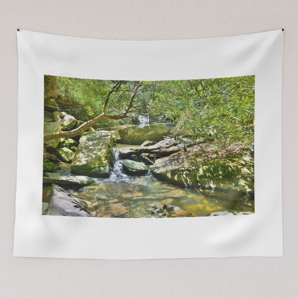 Item preview, Scenery From Keowee-Toxaway State Park South Carolina designed and sold by LisaWootenPhoto.