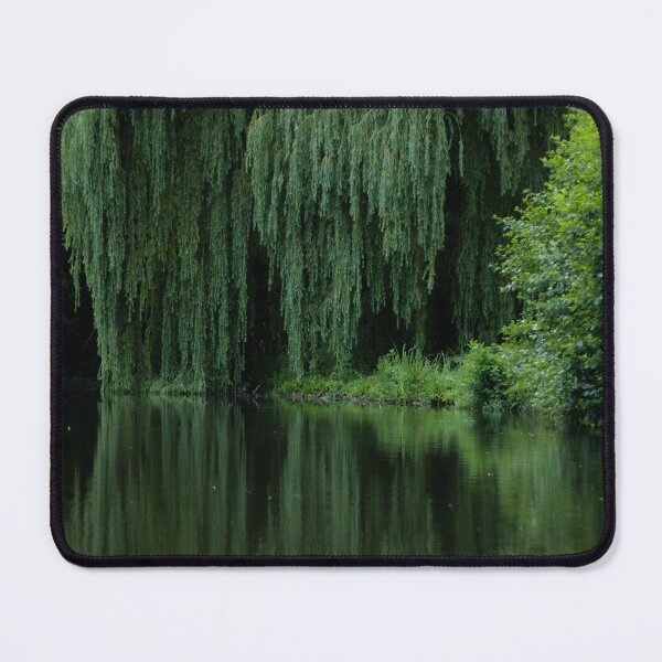 Item preview, Weeping willow over the lake designed and sold by Nwrth.