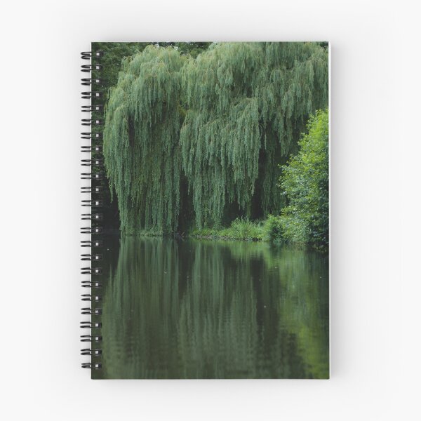 Item preview, Weeping willow over the lake designed and sold by Nwrth.