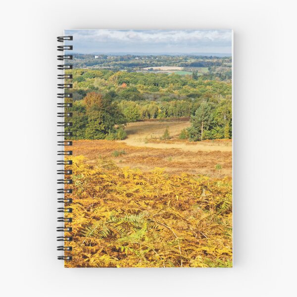 Item preview, Ashdown Forest in Autumn designed and sold by Stephen Frost.