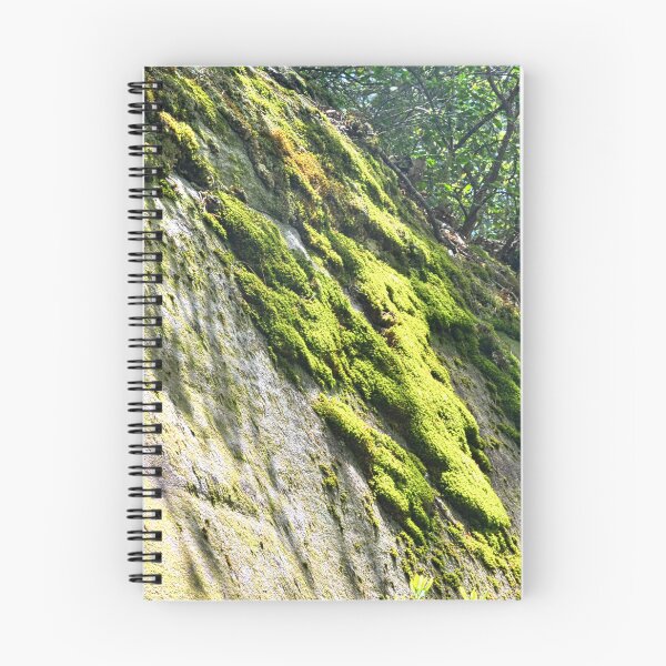Item preview, Mossy Shadows designed and sold by LisaWootenPhoto.