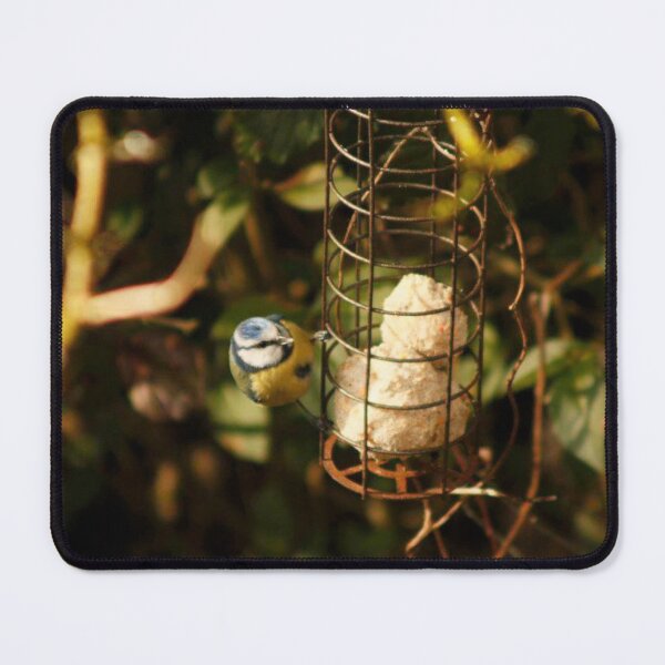 Item preview, blue tit bird feeding designed and sold by Francespoppy.