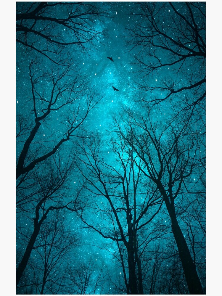 Stars Can't Shine Without Darkness by soaringanchor