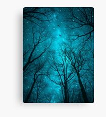 Stars Can't Shine Without Darkness Canvas Print