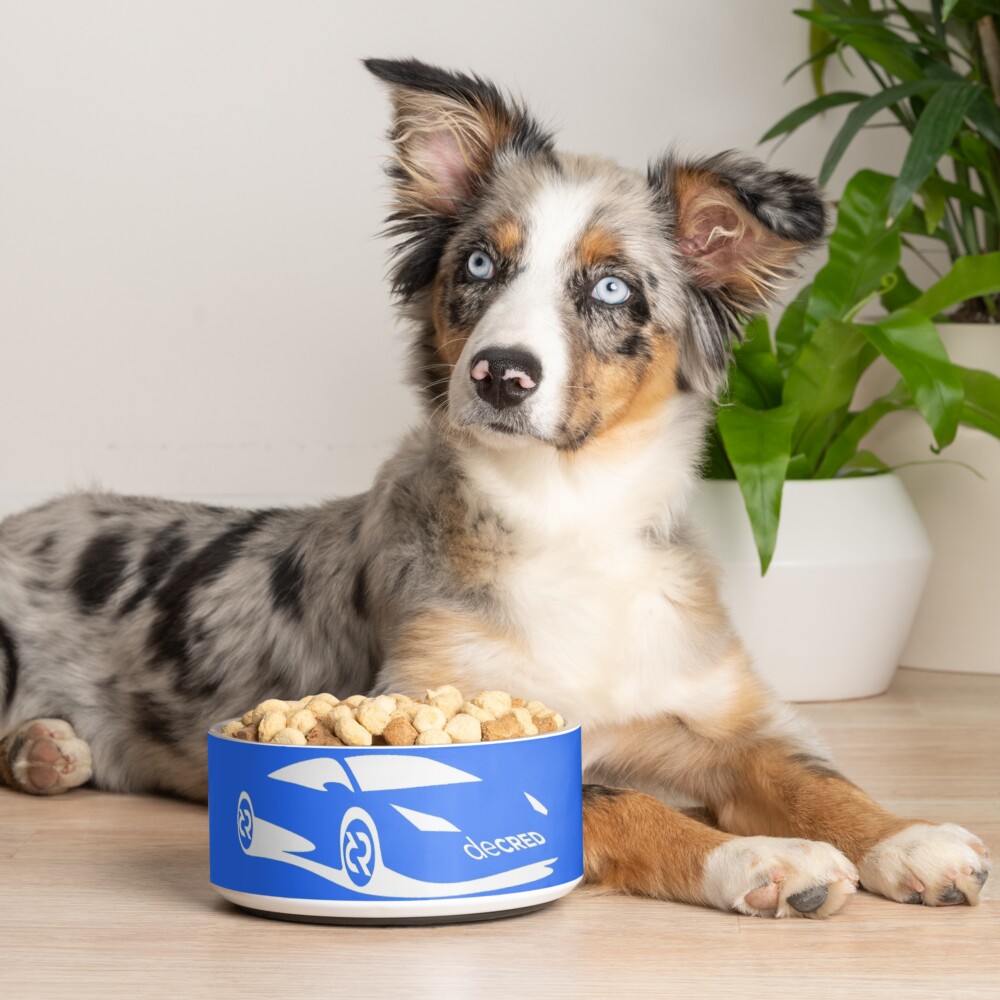 Item preview, Pet Bowl designed and sold by OfficialCryptos.