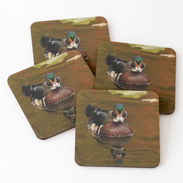 Item preview, Male Wood Duck in Autumn designed and sold by Inlovewithloons.