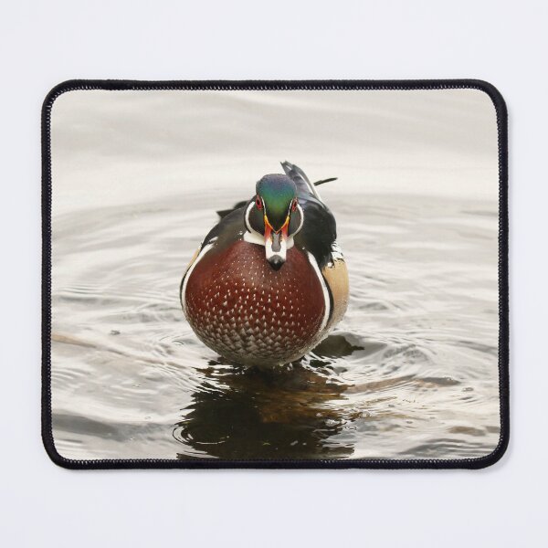Item preview, WOOD DUCK designed and sold by Inlovewithloons.