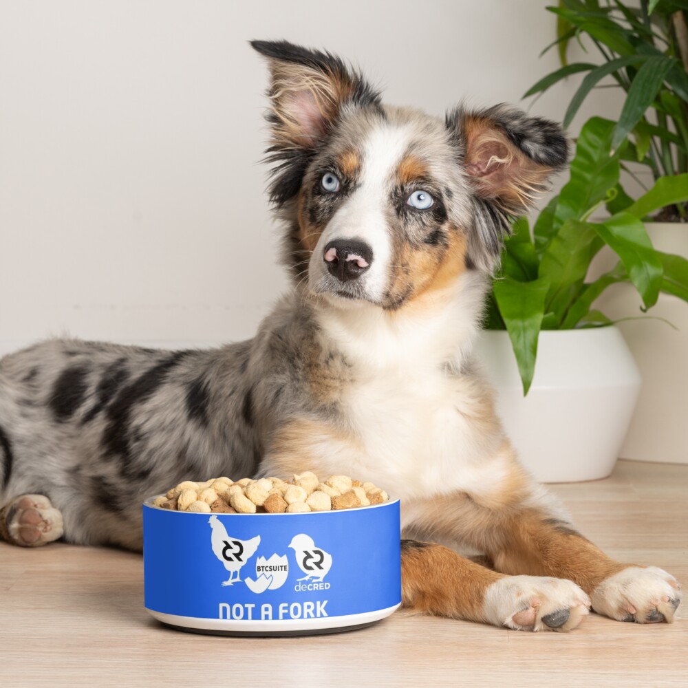 Item preview, Pet Bowl designed and sold by OfficialCryptos.