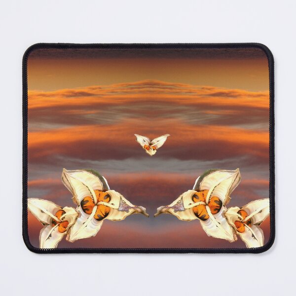 Item preview, Bird of Paradise Seeds Of Magnificence, Freedom, Joy, Faithfulness, Love to the World designed and sold by SpiritGifts.