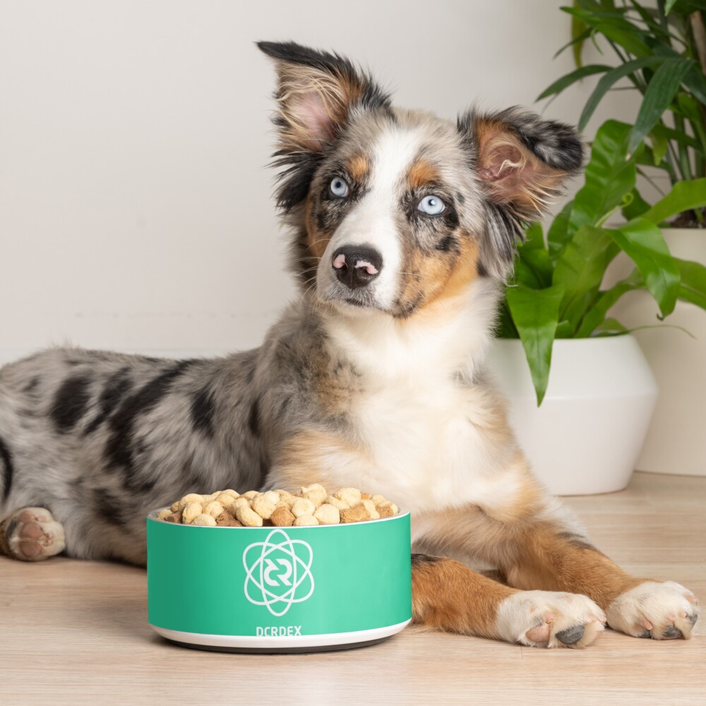 Item preview, Pet Bowl designed and sold by OfficialCryptos.