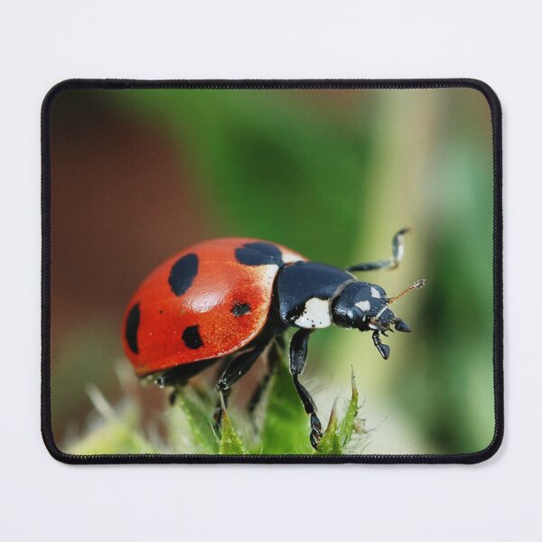 Item preview, Ladybird Love designed and sold by Fearless-Fox.