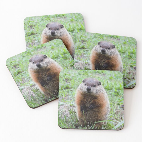 Item preview, Hello Mr. Gopher! designed and sold by DonnaM.