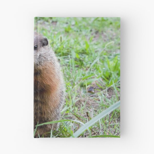 Item preview, Hello Mr. Gopher! designed and sold by DonnaM.