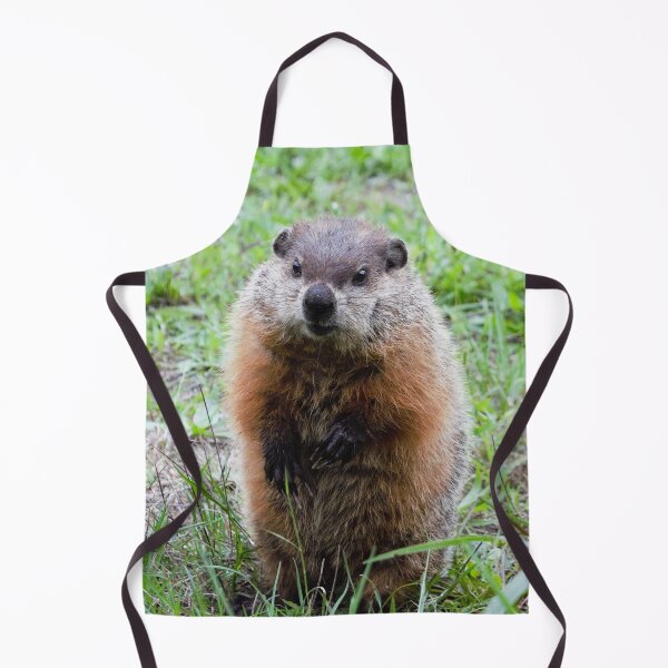 Item preview, Hello Mr. Gopher! designed and sold by DonnaM.