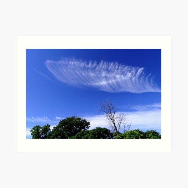Angel Wing Art Print