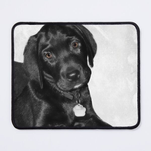 Item preview, Black labrador puppy dog designed and sold by HaleyRedshaw.