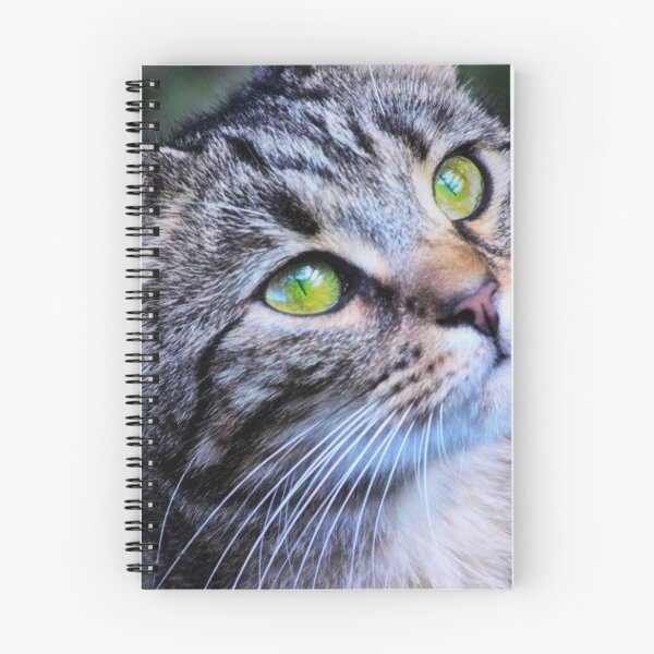 Item preview, close-up of a cats face designed and sold by Francespoppy.