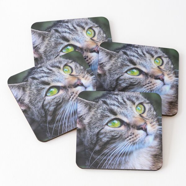 Item preview, close-up of a cats face designed and sold by Francespoppy.