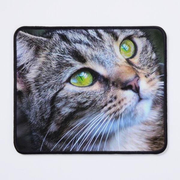 Item preview, close-up of a cats face designed and sold by Francespoppy.
