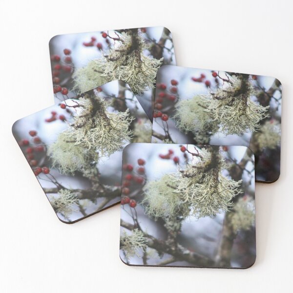 Item preview, nature designed and sold by Francespoppy.