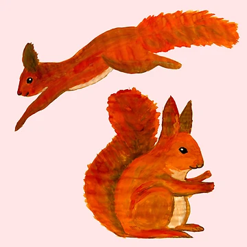 Artwork thumbnail, squirrel by Rabenkraehe
