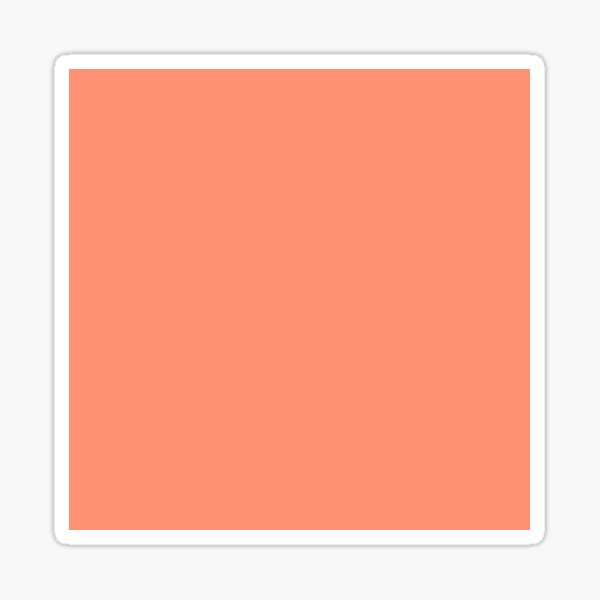 Palette . Coral Sticker