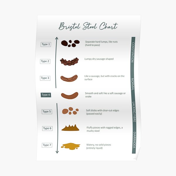 "Bristol Stool chart" Poster for Sale by martina1988 | Redbubble