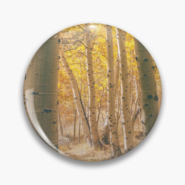 Item preview, Autumn  Aspens designed and sold by jvnimages.