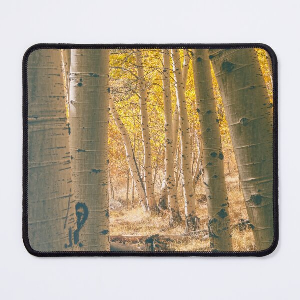 Item preview, Autumn Aspens designed and sold by jvnimages.