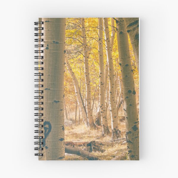 Item preview, Autumn  Aspens designed and sold by jvnimages.