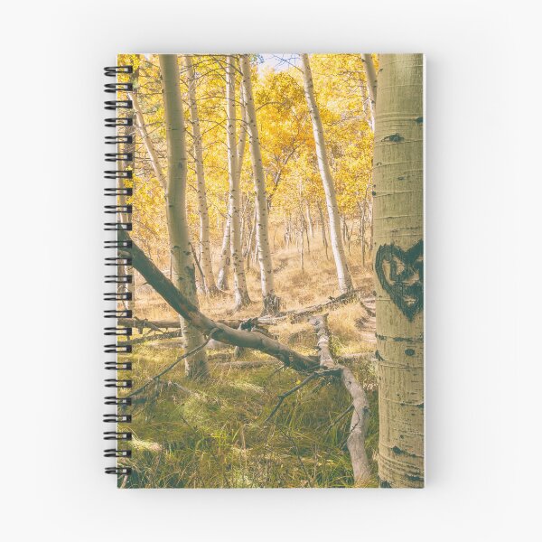 Item preview, Autumn Aspens designed and sold by jvnimages.